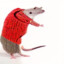 AI Generated Rat in a Sweater
