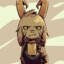 Ruan_rbr