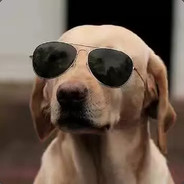 毁人不厌、孜孜不倦。