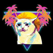 NeonCat