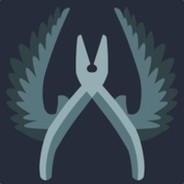 76561198842903633