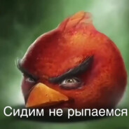 Сидим не рыпаемся