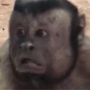 APEX玩家还会抱怨生活苦吗