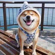 工具人——羽毛