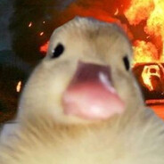 bossn1ak - steam id 76561199290131036