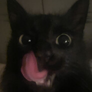 NYSTA