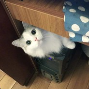 ღ๖ۣۜD๖ۣۜR๖ۣۜAღ