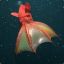 Vampire_Squid