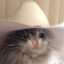 Ticonacho's avatar