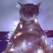 stefienson - steam id 76561198982933727