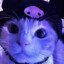 Hex:weskercussme