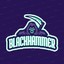 BlackHammer