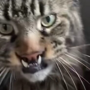 Szeretnel egy szájbarugást?