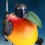 Mango Fett