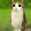 PooblyChubster2975