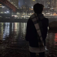 物是人非事事休