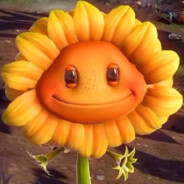 Fried Sunflower