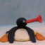 Pingu