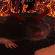 Evil MilkMaster72 (evil) avatar