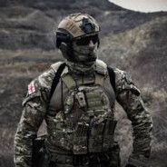 lukagogelishvili0 avatar