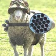 Scary Sheep