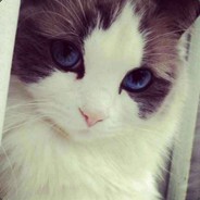 RainFool