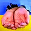 Шмегули