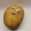 Potato