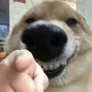 大人,他们打进来了