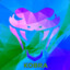 k0bra | ARR |
