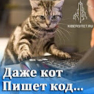tikert avatar