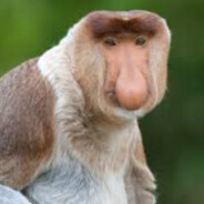 MR_Janusz_.PL123CASE.GIFT34