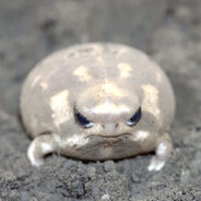 rttv_Frog_zizi avatar