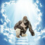 Harambe
