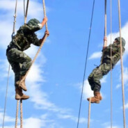 郭郭郭郭郭郭郭小哥