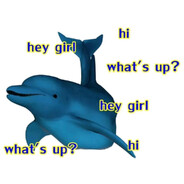 求你了 别骂南方蟑螂