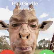 Gigi Giraffe