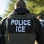 ICE Agent Tom Sanders