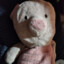 NBFPiglet