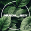 PANDA BEY