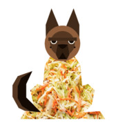 SlawDog