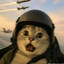 Mattew--
