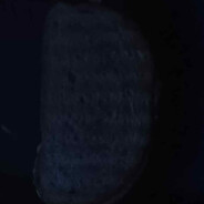 wafel66