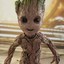 Groot.