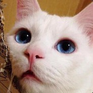 能帮我擦擦枪吗