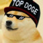 DOGE