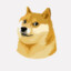 Doge