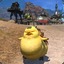 Chocobo