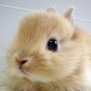 捅你扒开的屁眼