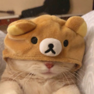 Chris（俄罗斯版本）